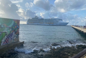 Visite privative du port de Costa Maya : ruines de Chacchoben et boîte de nuit