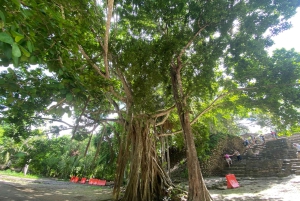 Visite privative du port de Costa Maya : ruines de Chacchoben et boîte de nuit