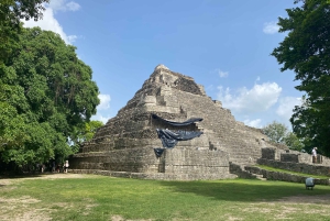 Visite privative du port de Costa Maya : ruines de Chacchoben et boîte de nuit