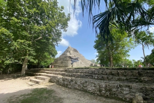 Visite privative du port de Costa Maya : ruines de Chacchoben et boîte de nuit