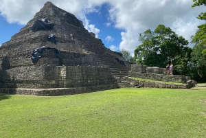 Visite privative du port de Costa Maya : ruines de Chacchoben et boîte de nuit