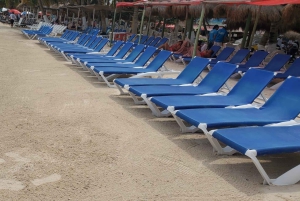 Visite privative du port de Costa Maya : ruines de Chacchoben et boîte de nuit