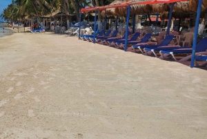 Visite privative du port de Costa Maya : ruines de Chacchoben et boîte de nuit