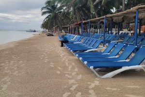 Visite privative du port de Costa Maya : ruines de Chacchoben et boîte de nuit