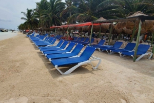 Visite privative du port de Costa Maya : ruines de Chacchoben et boîte de nuit