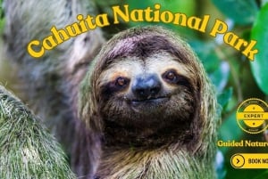 Costa Rica: Guided Nature Hike in Cahuita National Park