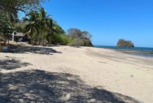 Costa Rica: Guided Nature Hike in Cahuita National Park