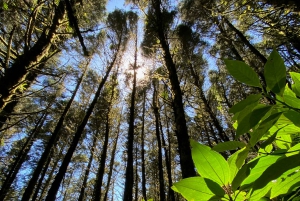 Costa Rica: Walk Adventures & Hiking - One Day Tours