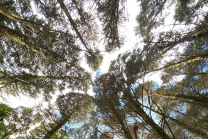 Costa Rica: Walk Adventures & Hiking - One Day Tours