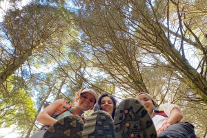 Costa Rica: Walk Adventures & Hiking - One Day Tours