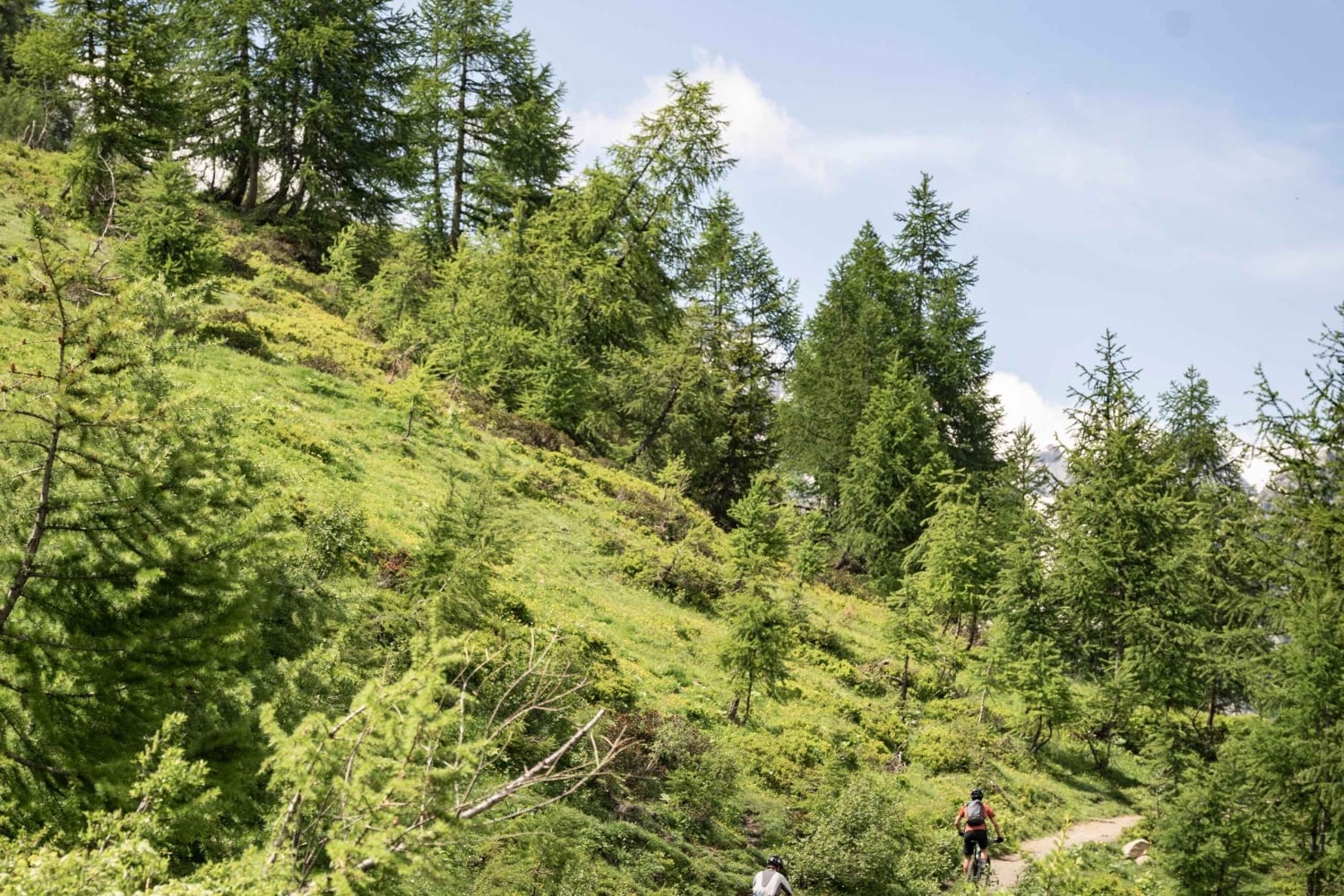 Courmayeur: E-Bike Guided Tour Val Veny, Val Ferret