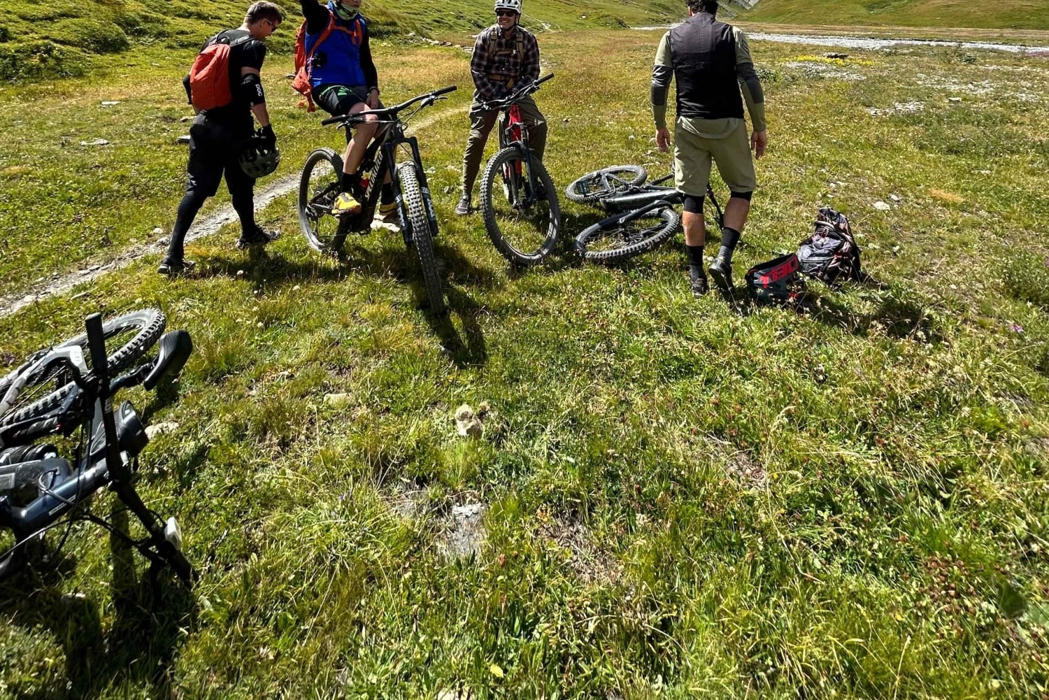 Courmayeur: E-Bike Guided Tour Val Veny, Val Ferret