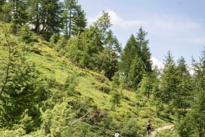 Courmayeur: E-Bike Guided Tour Val Veny, Val Ferret