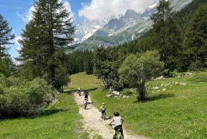 Courmayeur: E-Bike Guided Tour Val Veny, Val Ferret