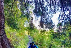 Courmayeur: Ebike Tour in Val Ferret up to Rifugio Elena