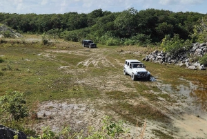 Cozumel: 5-stündige private Höhlen- und Ruinentour mit Mittagessen