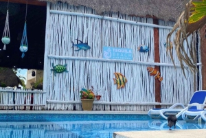 Cozumel: Passe de um dia com tudo incluído no clube de praia com bar aberto