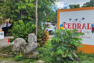 cozumel atv off road adventure to Jade Cavern