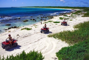 Cozumel: ATV-Abenteuer an der Küste & Maya-Cenote-Erlebnis
