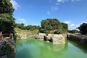 Cozumel: ATV-Abenteuer an der Küste & Maya-Cenote-Erlebnis