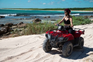 Cozumel: ATV-Abenteuer an der Küste & Maya-Cenote-Erlebnis