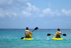 Cozumel: ATV-Abenteuer an der Küste & Maya-Cenote-Erlebnis
