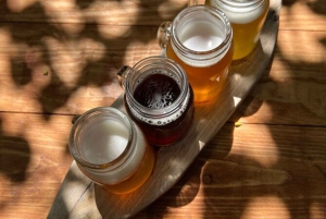 Cozumel: Experiência com cerveja, mezcal e tacos