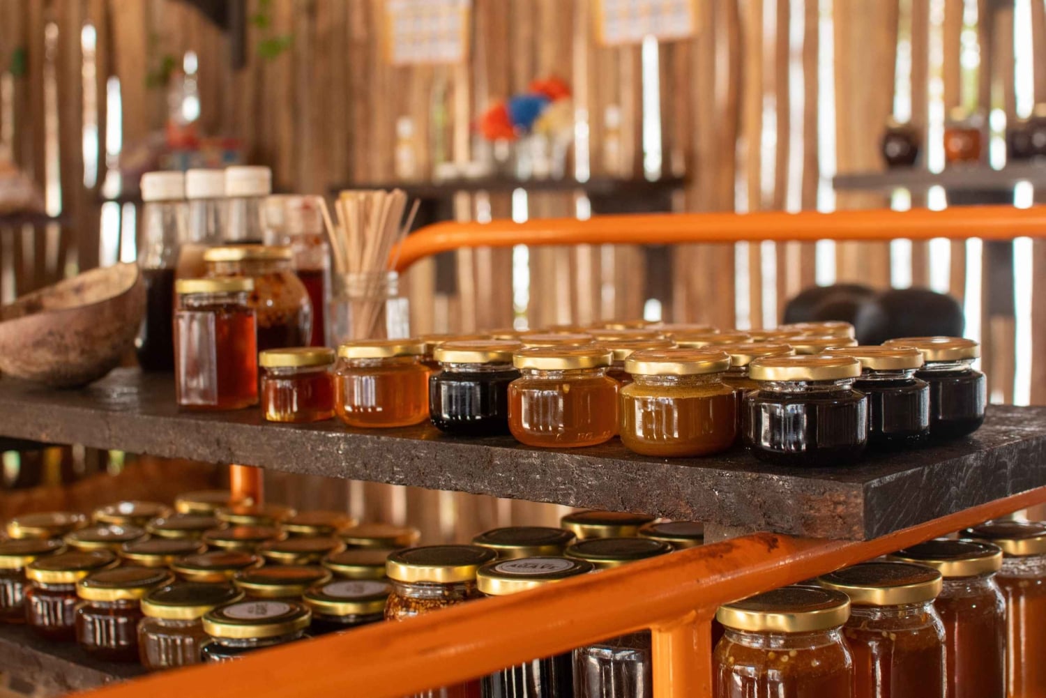 Cozumel : buggy, expérience maya et bateau transparent