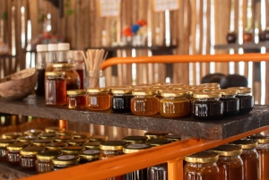 Cozumel : buggy, expérience maya et bateau transparent