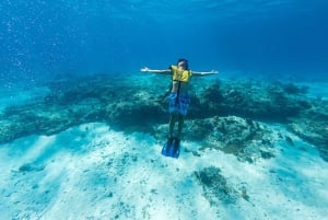 Catamaran snorkeltour & lunch in Cozumel