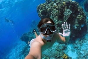 Catamaran snorkeltour & lunch in Cozumel