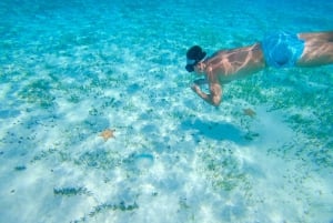 Catamaran snorkeltour & lunch in Cozumel