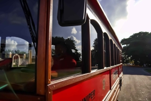 Cozumel: City Trolley Tour