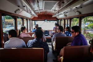 Cozumel: City Trolley Tour