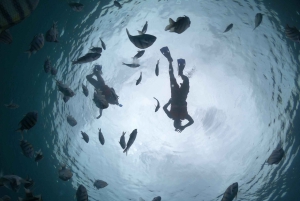 Cozumel: Klar båttur og snorkletur