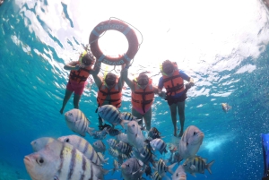 Cozumel: Klar båttur og snorkletur
