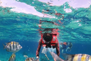 Cozumel: Klar båttur og snorkletur