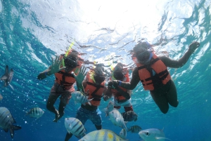 Cozumel: Klar båttur og snorkletur