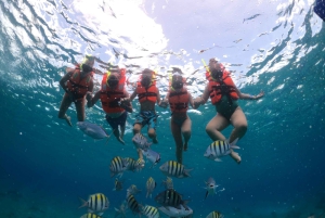 Cozumel: Klar båttur og snorkletur