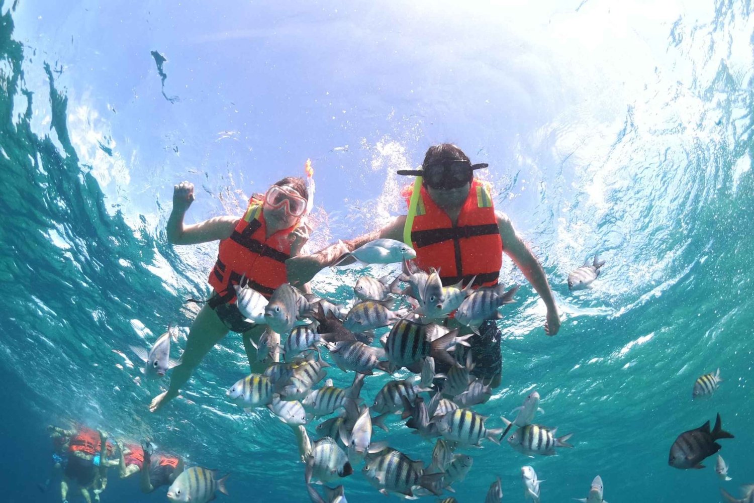 Cozumel: Klar båd- og snorkeltur