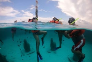 Cozumel: Klar båd- og snorkeltur