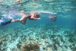 Cozumel: Klar båd- og snorkeltur