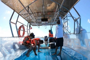 Cozumel: Clearboat em Cozumel + Snorkel + Refrescos!!!
