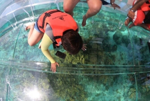 Cozumel: Clearboat em Cozumel + Snorkel + Refrescos!!!