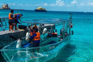 Cozumel: Excursão de Barco Crystal com Snorkel e Bebidas