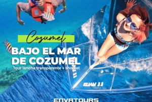 コスメル島：シュノーケルとドリンク付きの小旅行クリスタル ボート ツアー