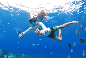 コスメル島：シュノーケルとドリンク付きの小旅行クリスタル ボート ツアー