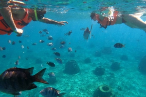 コスメル島：シュノーケルとドリンク付きの小旅行クリスタル ボート ツアー