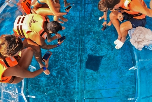 コスメル島：シュノーケルとドリンク付きの小旅行クリスタル ボート ツアー