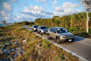 Cozumel: Guided Jeep Adventure (Off-the-Beaten-Path)